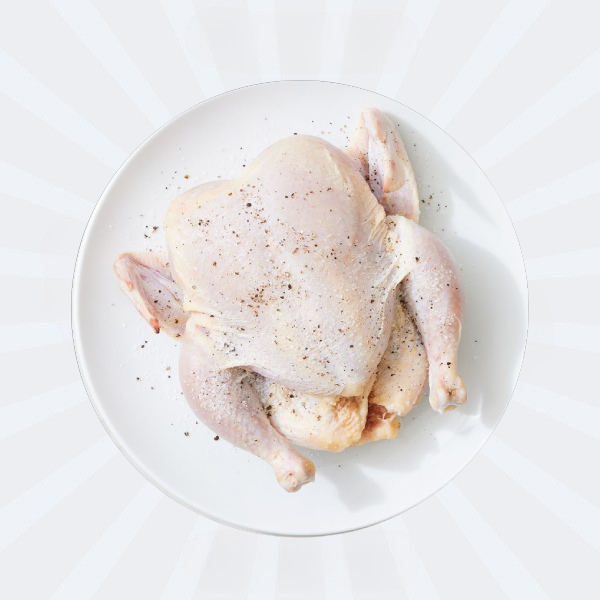 Cock Chicken / Hard Chicken