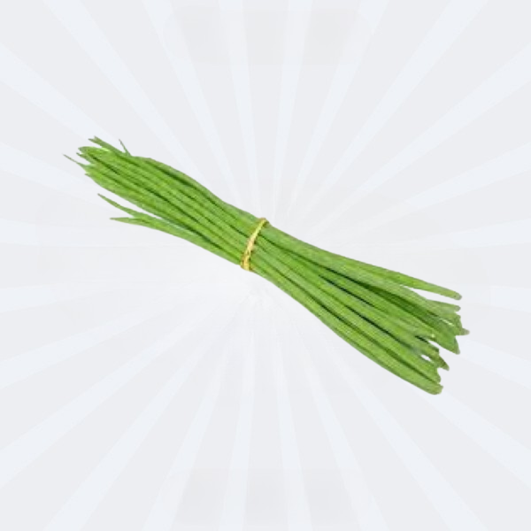 Drum Stick / Sajna Data (FRESH)