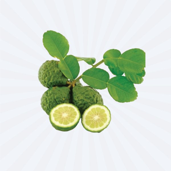 KAFFIR LIME LEAF (FROZEN) 20GM
